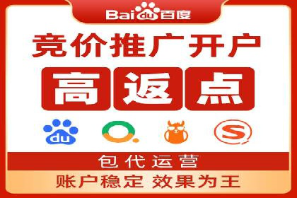 网络推广秘籍：竞价排名成功案例集锦